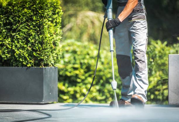 Best Vinyl Siding Pressure Washing in Chenoa, IL