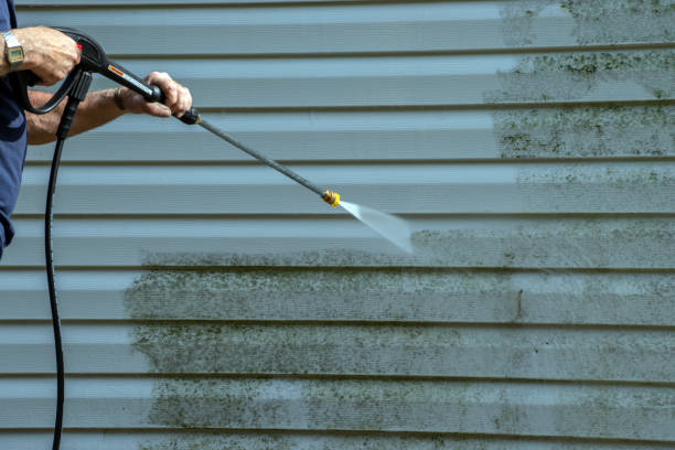 Trusted Chenoa, IL Pressure Washing Services Experts